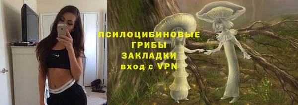 PSILOCYBIN Балахна