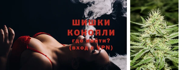 PSILOCYBIN Балахна