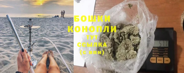 PSILOCYBIN Балахна